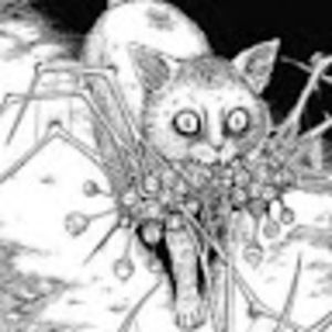 Meet your Posher, Valkyrie